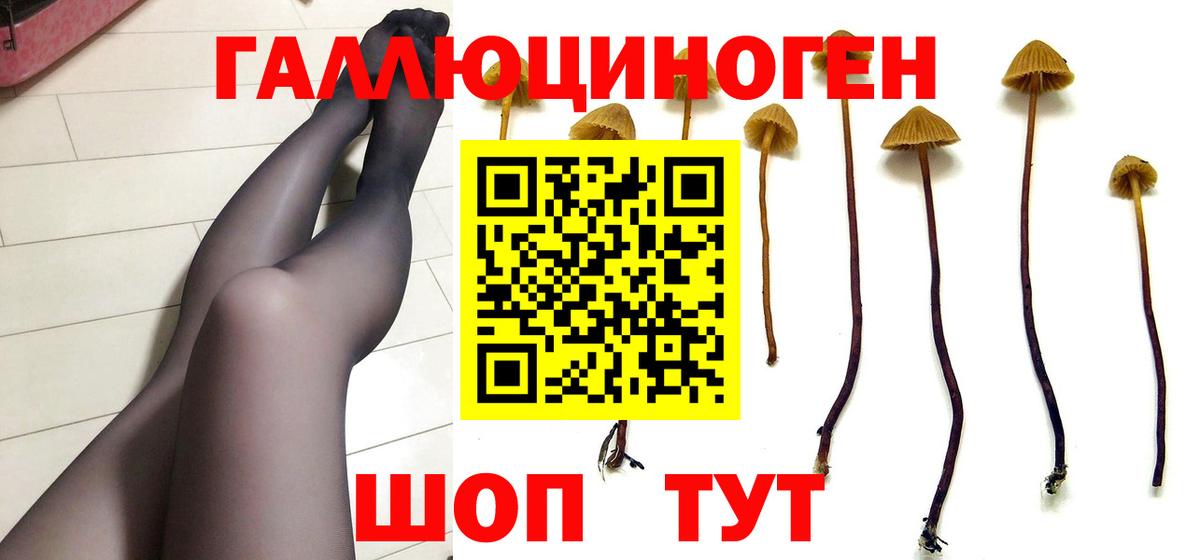 Псилоцибиновые грибы MAGIC MUSHROOMS Воронеж